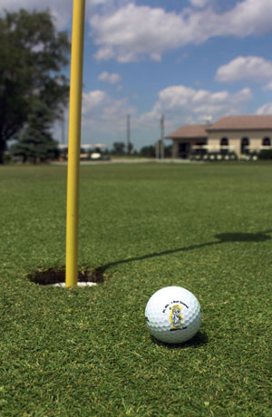 Golf ball by hole