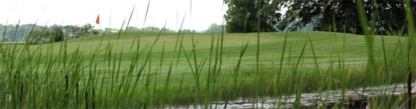 Pond by golf course
